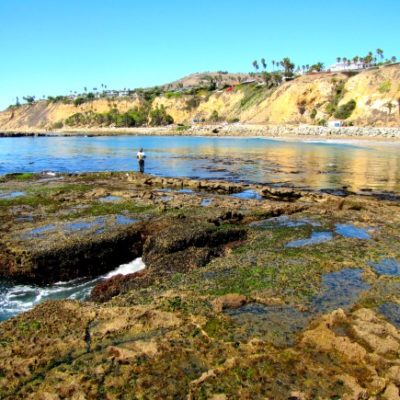 White Point Beach, San Pedro: Great Place to Explore!