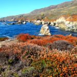 View from Soberanes Trail, Garrapata State Park, Big Sur, California