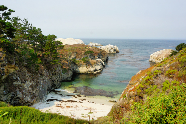 Point Lobos State Natural Reserve