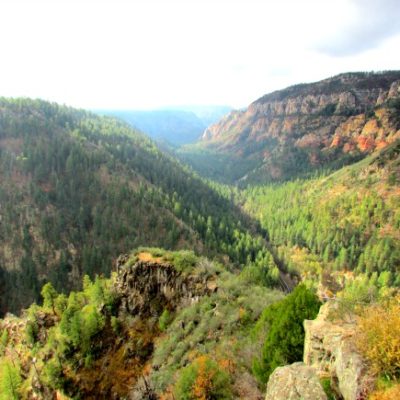Oak Creek Canyon in Sedona, Arizona