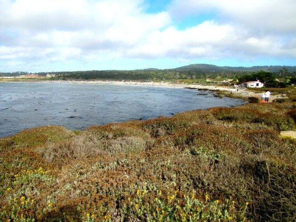 Spanish Bay, 17 Mile Drive, Monterey, California