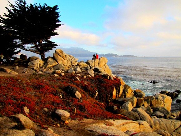 Pescadero Point, 17 Mile Drive, Monterey, California