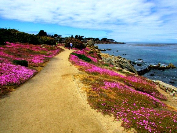 Lovers Point, Pacific Grove, California