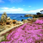 Lovers Point, Pacific Grove, California