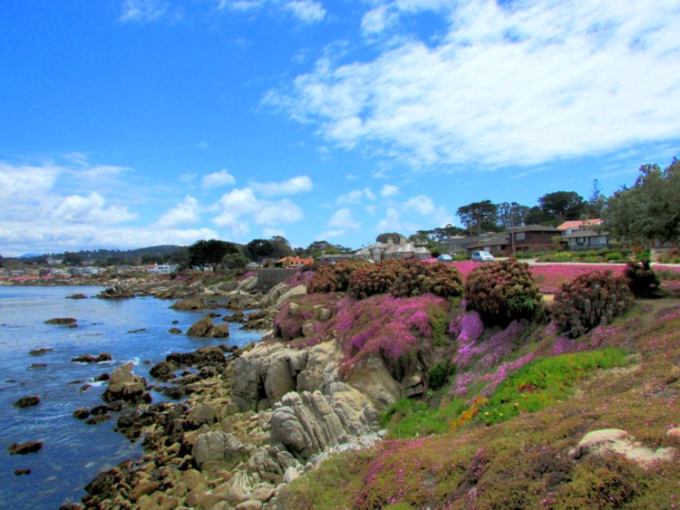 Pacific Grove Lovers Point, California