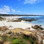 Asilomar State Beach, Things to do in Pacific Grove