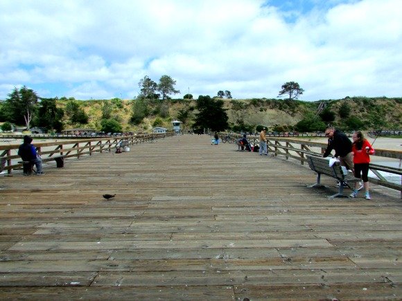 Seacliff State Beach and The Palo Alto, Aptos, Santa Cruz, California
