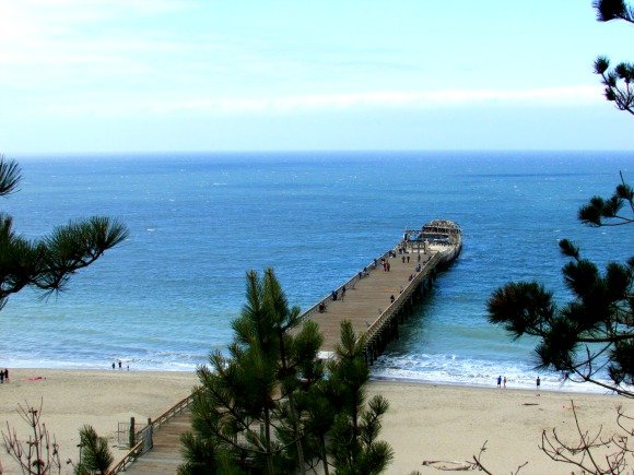 Seacliff State Beach and The Palo Alto, Aptos, Santa Cruz, California