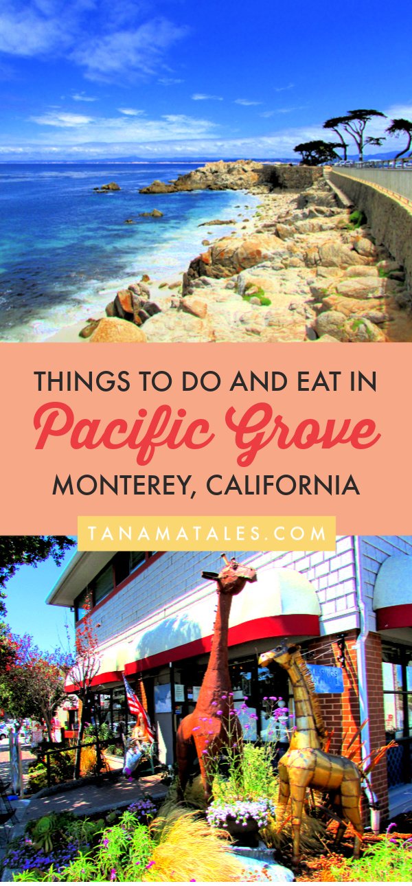 Things to do in Pacific Grove, #California – Travel tips and ideas - Pacific Grove, a city sandwiched between Pebble Beach and #Monterey, has within its limits marvelous coastal scenes (Lovers Point and Asilomar State Beach), ocean walks, a lighthouse and a Downtown full of Victorian houses. Plus, I have tons of restaurant recommendations. #beachtown #roadtrip #PCH