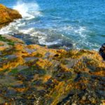 Natural Bridges State Beach, Santa Cruz, California