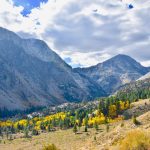 Tioga Pass Landscape