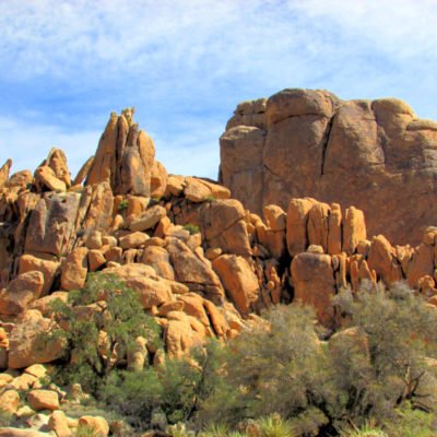 Top Things to Do in Joshua Tree National Park