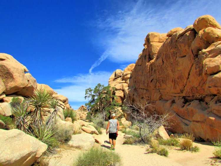 Hidden Valley, Things to Do in Joshua Tree National Park, California