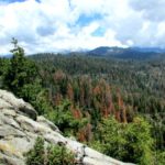 Moro Rock, Sequoia National Park, Sierra Nevada, Granite, California