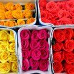 Roses from Los Angeles Flower Market