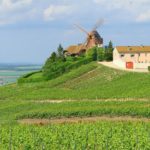 Reasons to Visit Champagne, France