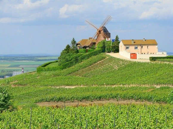 Reasons to Visit Champagne, France