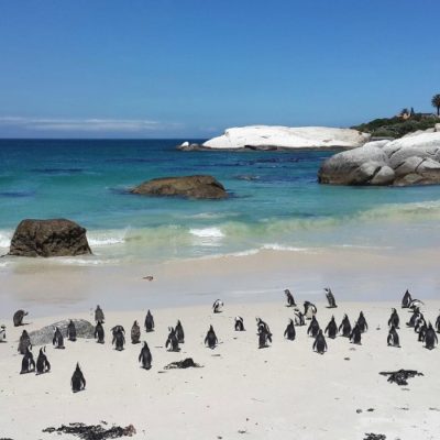 A “Must-See” Guide to Cape Town, South Africa