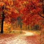 Autumn, New England