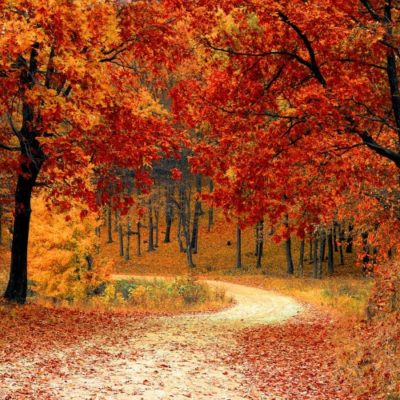 Autumn in New England – An Explosion of Color and Culture