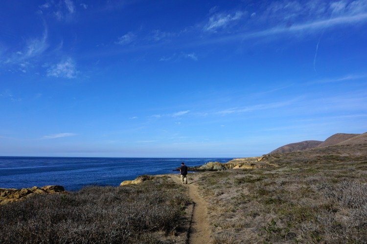 Harmony Headlands State Park, Things to do in Cayucos Ca