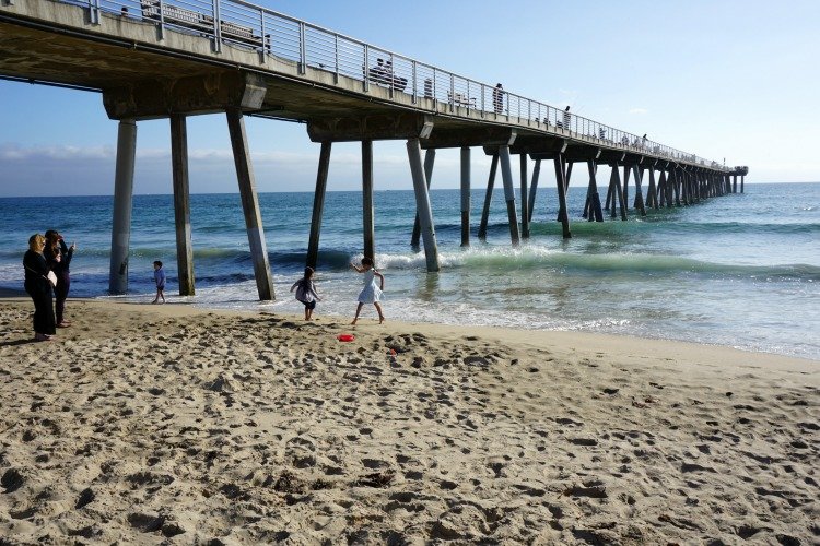 are dogs allowed at hermosa beach