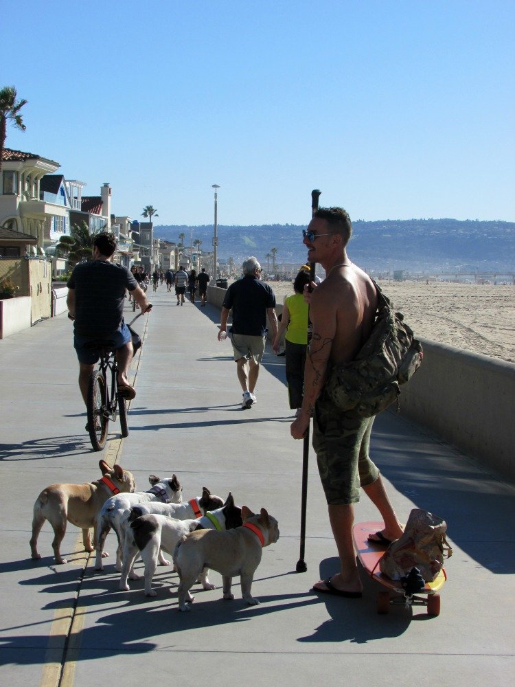 are dogs allowed at hermosa beach