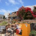 Bougainvillea covered store located in the Cedros Design District, the most exciting area of Solana Beach, San Diego
