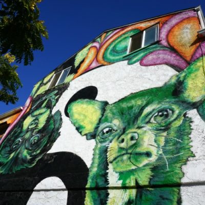 Venice Beach Graffiti, Murals and Street Art: A Complete Guide