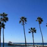 Manhattan Beach Pier surrounded by palms, Manhattan Beach Pier Things To Do