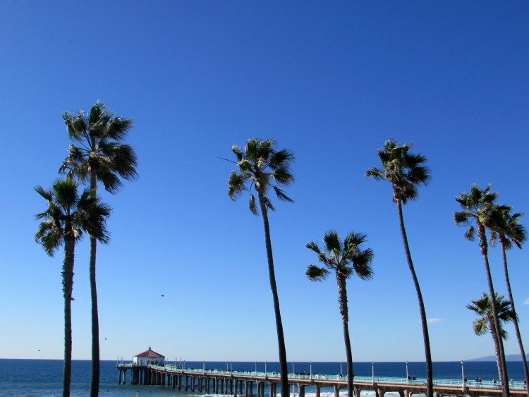 Manhattan Beach Pier surrounded by palms, Manhattan Beach things to do