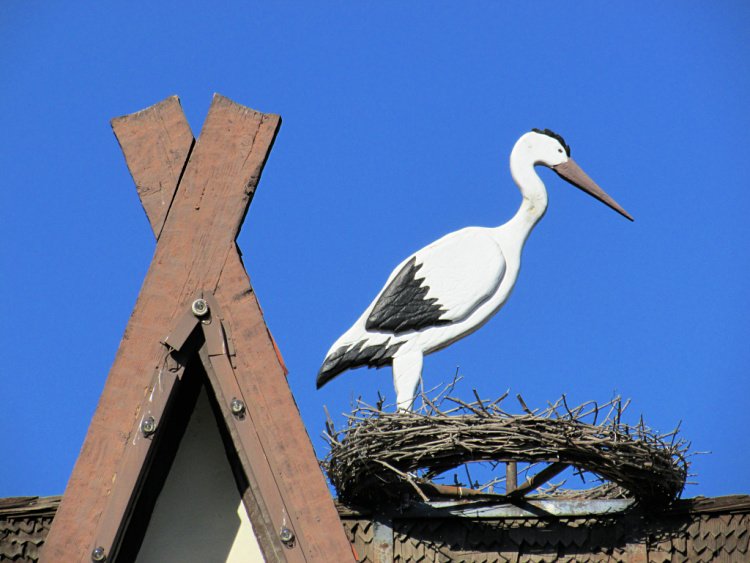 Stork in Solvang's Roof, Solvang What to do