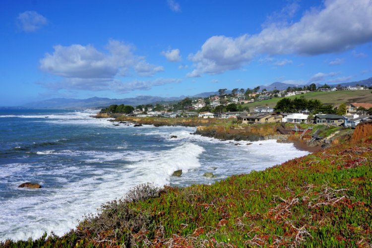 Cove at Fiscalini Ranch Preserve, Cambria, California, Things to to in Cambria