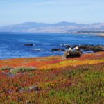 Ocean views at the Fiscalini Ranch Preserve, Cambria, California