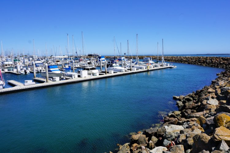 Cabrillo Marina, San Pedro, California