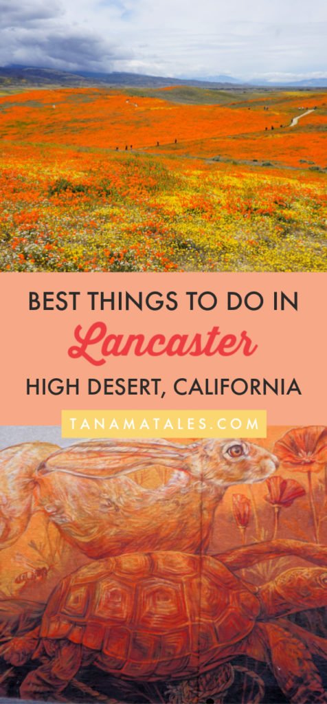 Things to do in #Lancaster, #California - Travel tips and vacations ideas - Lancaster, a desert community in Los Angeles County, is known for it poppy reserve, its parks full of Joshua Trees, a thriving downtown area, innovative museums, murals and fun events. Discover everything this community has to offer. You will be surprised! #SouthernCalifornia #roadtrip #highdesert