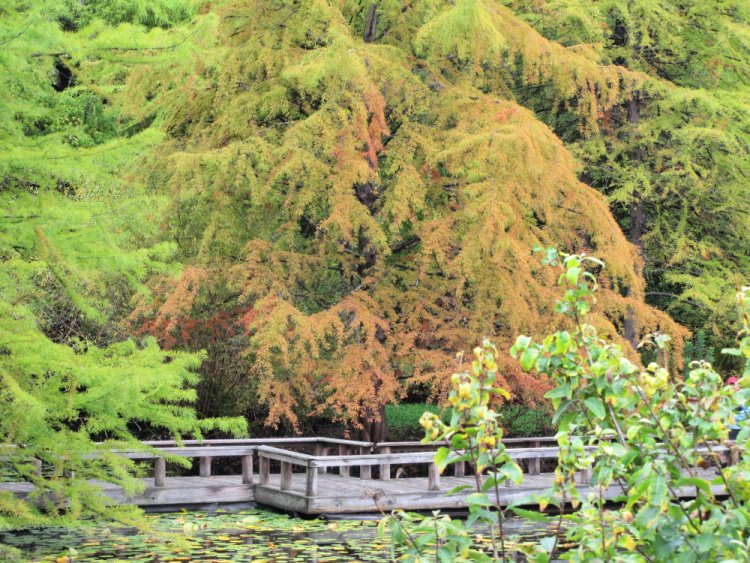 VanDusen Botanical Garden, Vancouver, Canada