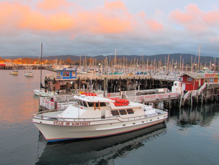 Boats and ships in Fishermen's Wharf, Monterey, California