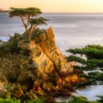 Planning a Trip to California, Lone Cypress at 17-mile Drive, Monterey