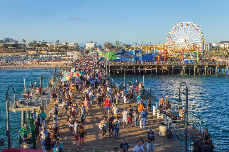 are dogs allowed on santa monica pier