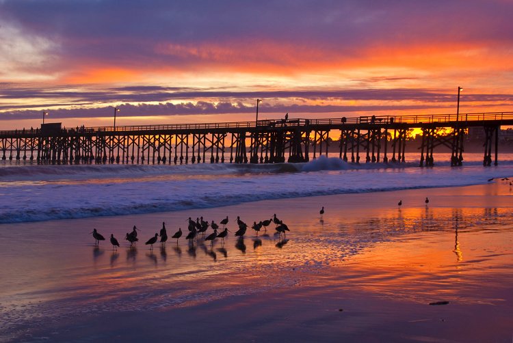 Best Things to Do in Goleta, California - Tanama Tales