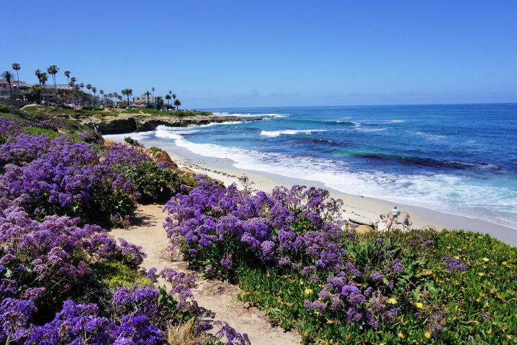 View of coastal La Jolla, California, One Day in San DIego