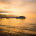 Tour Companies, Malibu Sunset, Los Angeles Quotes