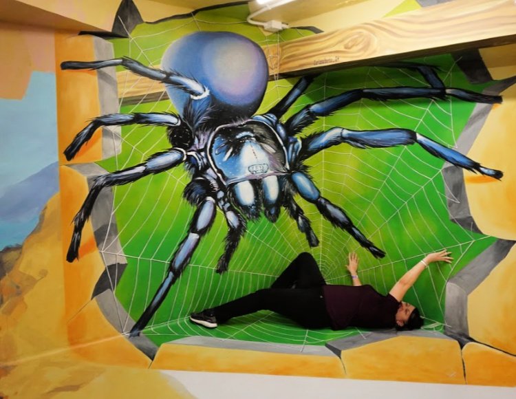 Museum of Illusions: Things to do in Los Angeles and Hollywood, attacked by a spider