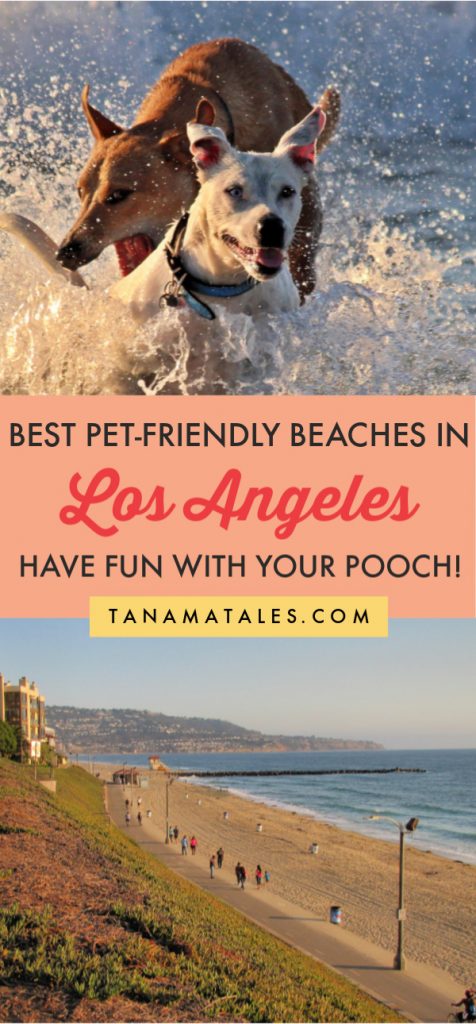 what beaches in los angeles allow dogs