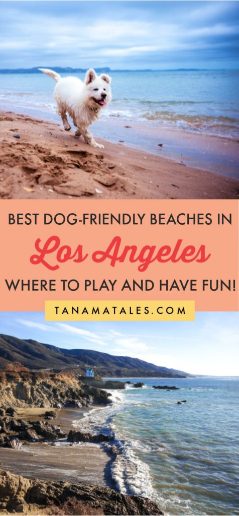 what beaches in los angeles allow dogs