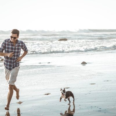 Incredible Beaches for Dogs in Los Angeles