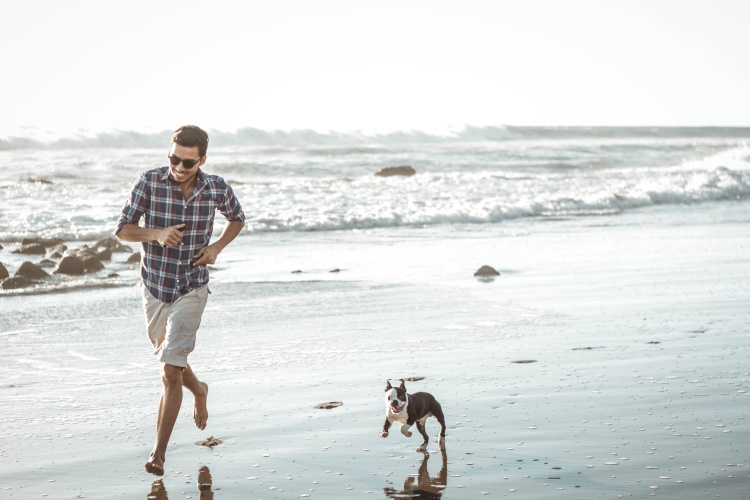 are dogs allowed on the beach or venice boardwalk