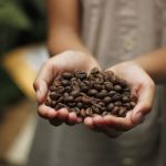 El Salvador Coffee: Tours, Growing Regions, Varieties and Where to Drink