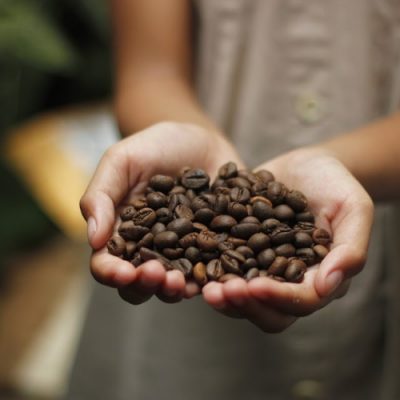 El Salvador Coffee: Everything you Need to Know!